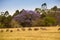 Herd of Waterbucks standing in Savannah of Mlilwane Wildlife Sanctuary, Swaziland