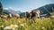 A herd of well-groomed, beautiful, healthy cows graze on a green meadow in the mountains. Modern farm life