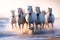 Herd of white horses trotting along a beach