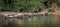 A herd of wild asian elephants feeding in the Periyar River, Kerala, India