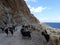 Herd of wild Cretan goats on dangerous road near Kissamos, only way to reach famous blue Balos lagoon by car, Crete, Greece