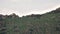 Herd of Wild Deer on Rocky Mountain Ridge