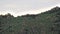 Herd of Wild Deer on Rocky Mountain Ridge