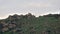 Herd of Wild Deer on Rocky Mountain Ridge