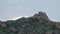 Herd of Wild Deer on Rocky Mountain Ridge