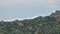 Herd of Wild Deer on Rocky Mountain Ridge