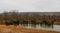 Herd of wild elephants at a pond, Punda Maria, Kruger, South Africa