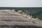 Herd of wild goats in the mountains in spring day