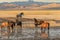 Herd of Wild Horses at a Desert Pond