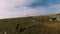 Herd of wild horses galloping fast across the steppe. Aerial FPV Drone Flying over a large group of animals. Sunset