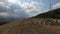 Herd of wild horses galloping fast across the steppe. Aerial FPV Drone Flying over a large group of animals. Sunset