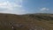 Herd of wild horses galloping fast across the steppe. Aerial FPV Drone Flying over a large group of animals. Sunset