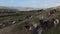 Herd of wild horses galloping fast across the steppe. Aerial FPV Drone Flying over a large group of animals. Sunset