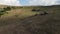 Herd of wild horses galloping fast across the steppe. Aerial FPV Drone Flying over a large group of animals. Sunset