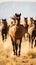 A herd of wild mustangs running across a desert landscape