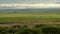 A herd of wildebeest against brighter morning sun