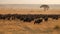 A herd of wildebeest migrating across the savannah created with Generative AI