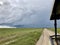 Herd of Wildebeest migration in Serengeti Plains, view from Four wheel drive safari vehicle