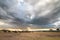 A herd of wildebeest on the plains under a storm cloud with a ray of light coming through the clouds