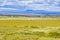 Herd of Wildebeest zebra migration at Serengeti National Park in Tanzania, Africa