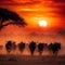 a herd of wildebeests at sunset