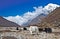 Herd of yaks grazing in the Himalaya