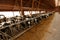 Herd of young cows in cowshed