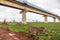 A herd of zebras grazing below the Nairobi Mombasa Standard Gauge Railway passing through Nairobi National Park, Kenya