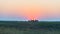 Herd of Zebras walking in the bush in backlight at sunset. Scenic colorful sunlight at the horizon. Wildlife Safari in the african