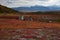 Herders\' camp in the autumn mountains.