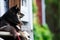 Herding dog lying on a porch