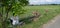 Herding Man is Sitting Under A Tree