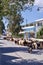 Herding Sheep And Goats On The Island Of Leros, Greece, Europe