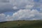 The herds of cattle on the Inner Mongolian grasslands are a beautiful sight