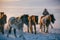 Herdsmen running with group of horses on the snowfields of the grassland in Inner Mongolia, China, in winter, in early morning.