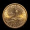 Here is a gold dollar coin with an eagle.