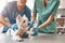 We are always here to help. A team of two veterinarians in work uniform bandaging a paw of a small dog lying on the