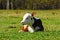 Hereford Calf