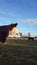 Hereford Cow Looking Out Over Field