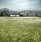 Herefordshire Landscape