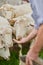 Heres some for you. a unrecognisable farmer feeding a herd of sheep with his hand outside on a farm.