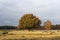 Herfst in Het Gooi, Het Gooi in autumn