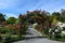 The Heritage Rose Garden in Christchurch Botanic Gardens, New Zealand