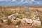 Hermann Wolf Gravesite at Canyon Diablo Ghost Town near Winslow, Arizona