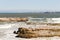 Hermanus beach view, South Africa