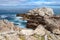 Hermanus small whale country near cape town unspoiled nature of South Africa