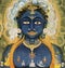 hermetic religious illustration of vishnu visvarupa protector of the universe