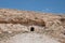 Hermit cells in Kidron valley