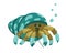 Hermit crab character. Cartoon hand drawn illustration of cute ocean animal, air bubbles. Turquoise fantasy sea crayfish. Childish