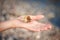 Hermit crab crawling on hand